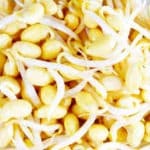Bean sprouts, Soya