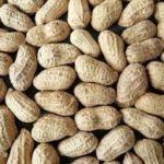 Nuts, peanut