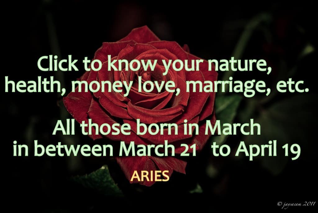 Aries Rising Sign Health Wealth and Love