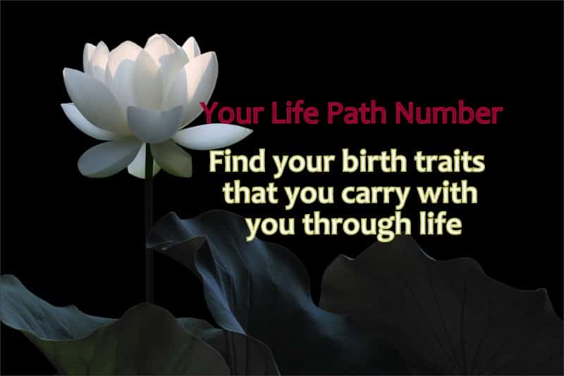 Life path number 1