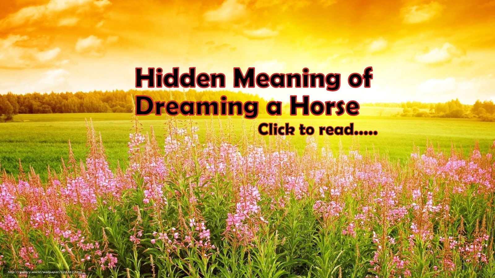 Horse Symbol in dream