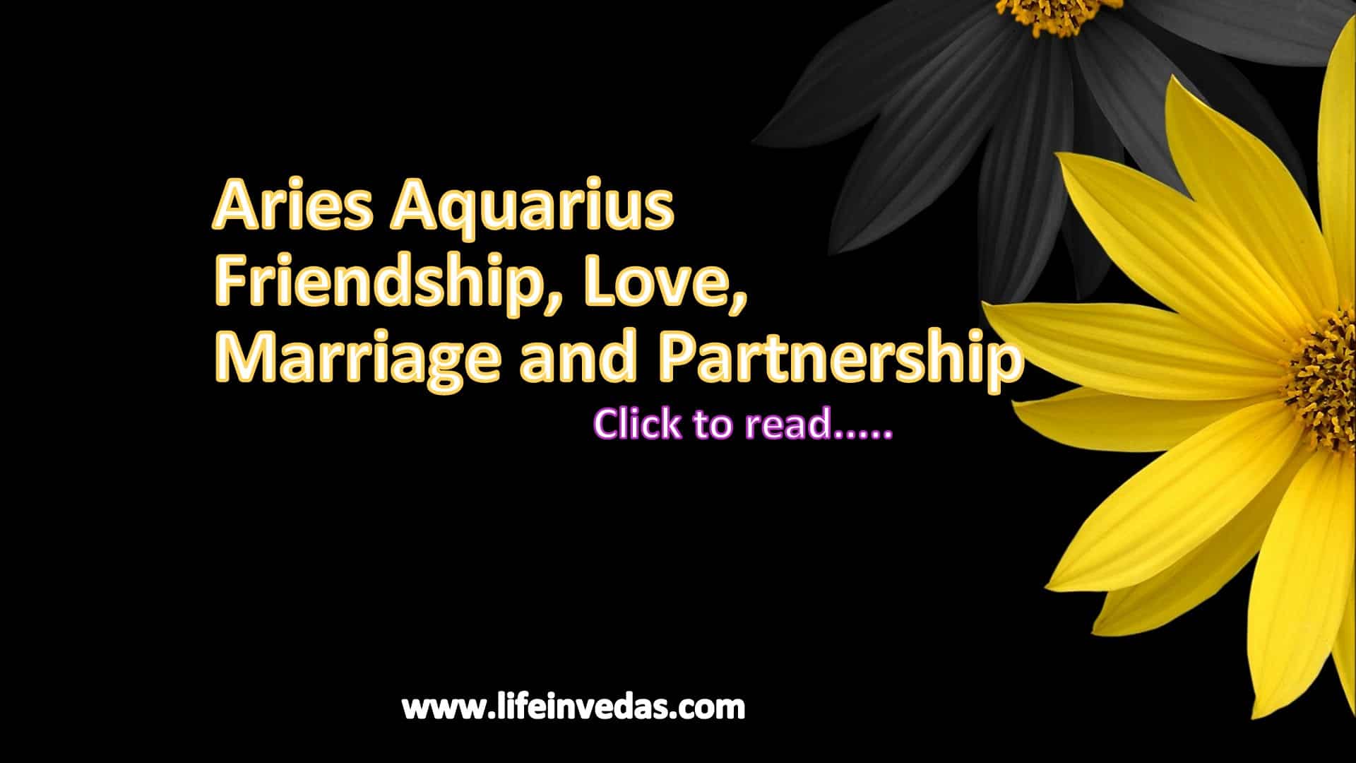 Aries and Aquarius Love Marriage friendship