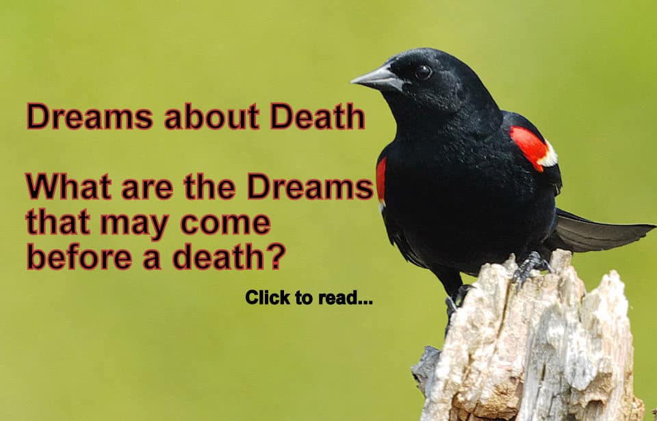 Dreaming death meaning