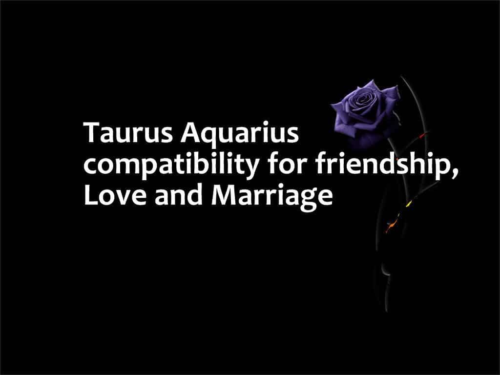 Taurus and Aquarius compatibilty