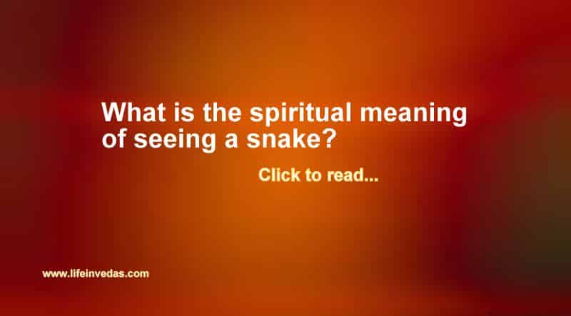 Spiritual meaning of snake in house