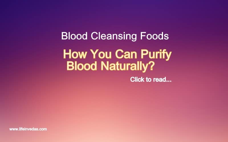Blood Cleansing Foods