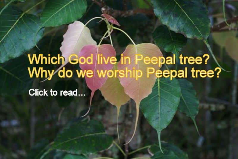 Which god lives in Peepal tree
