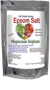 liver cleanse epsom salt