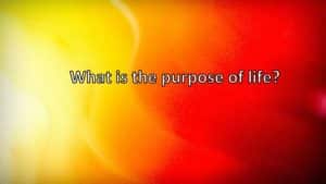 what is purpose of life