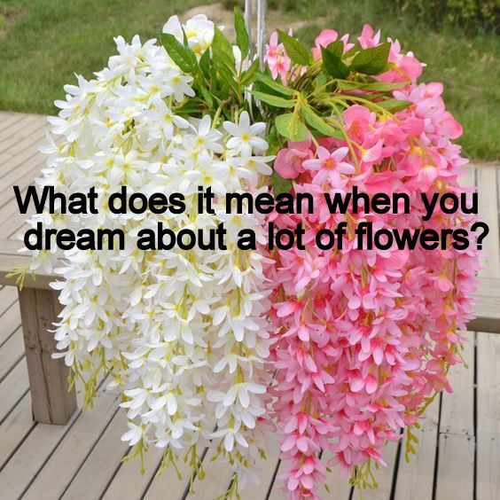 seeing flower dream