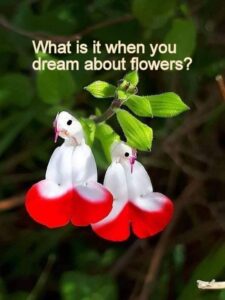 What is it when you dream about flowers
