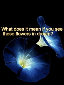 seeing flower dream
